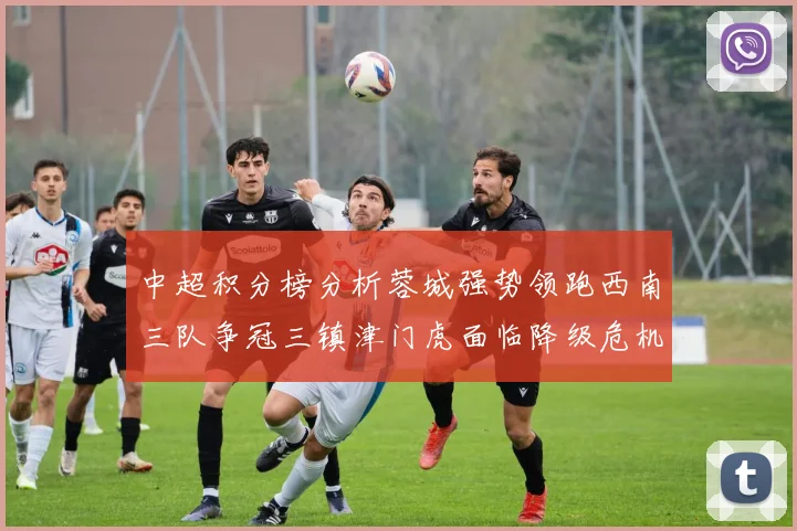 中超积分榜分析蓉城强势领跑西南三队争冠三镇津门虎面临降级危机